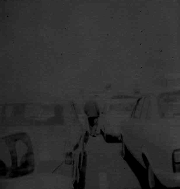cars and human