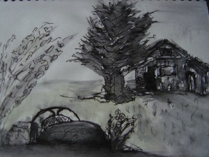 DSC00589