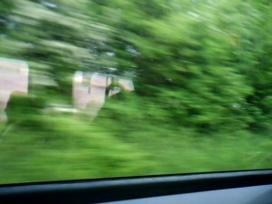 Image_00051
