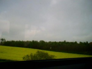 Image_00052