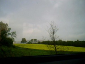 Image_00053