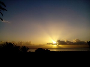 IMG_20141202_085321